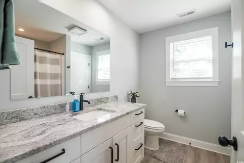 294 Field Loop Rd, Georgetown, SC 29440 photo 20