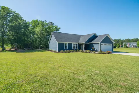 294 Field Loop Rd, Georgetown, SC 29440 photo 3