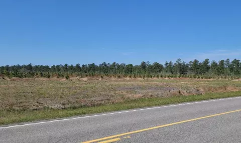 5570 Joyner Swamp Rd, Galivants Ferry, SC 29544