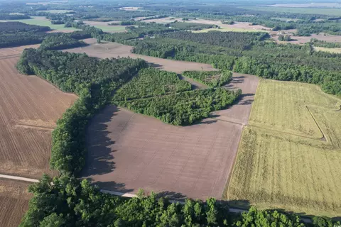 82 3acres- Tomlinson Rd, Olanta, SC 29114