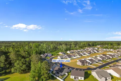 263 Lakota Loop, Longs, SC 29568 photo 38