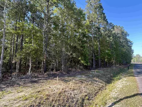 tbd Buck Dr, Georgetown, SC 29440