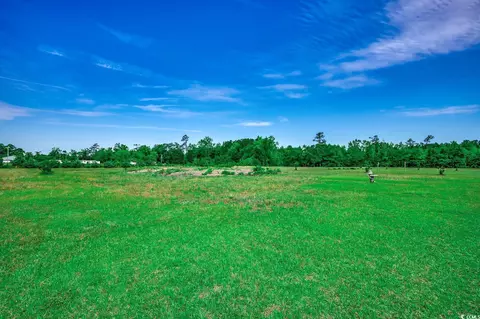 Other - 3148 Gause Rd, Loris, SC 29569 photo 9 of 10