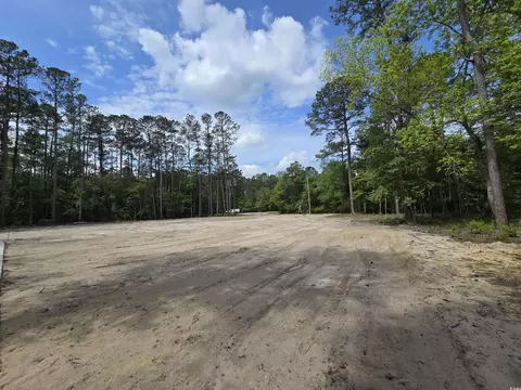 lot18 Cypress Knee Ct, Conway, SC 29526