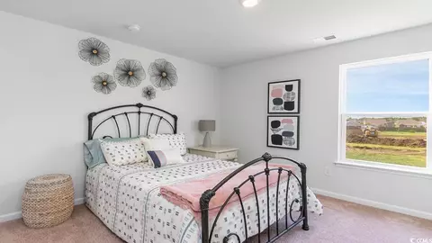 738 Chazen Way, Longs, SC 29568 photo 22
