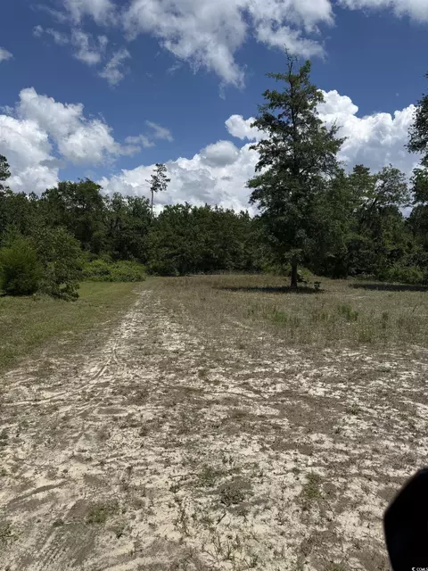 5357 Hampton Rd, Conway, SC 29527 photo 3