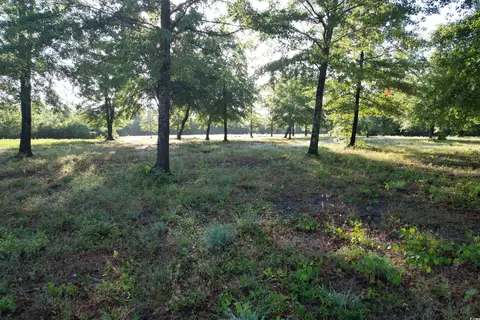 10 Acres-tbd Cohen Dr, Hemingway, SC 29554