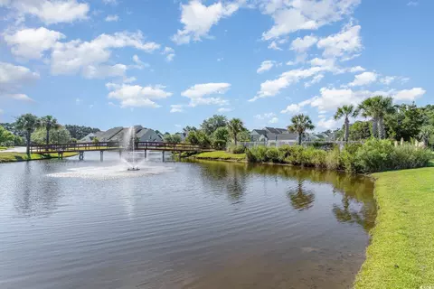 1053 Williston Loop #1053, Murrells Inlet, SC 29576 photo 33