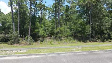tbd Bridge View Rd, Georgetown, SC 29440 photo 9