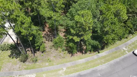 tbd Bridge View Rd, Georgetown, SC 29440 photo 8