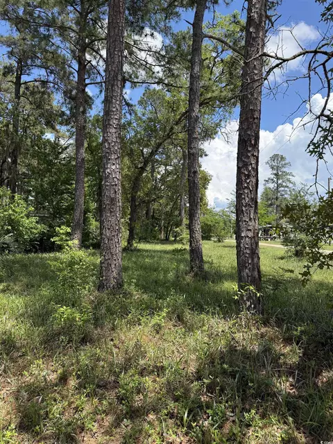 tbd Hampton Rd, Conway, SC 29527