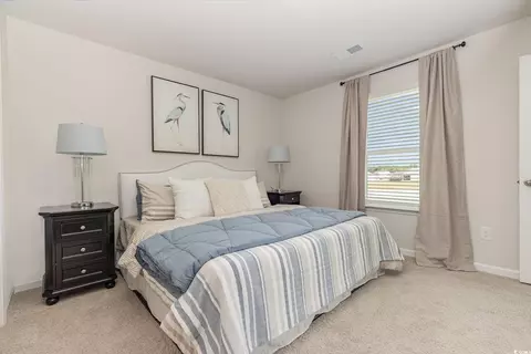 7382 Meadow Walk Loop, Loris, SC 29569 photo 16