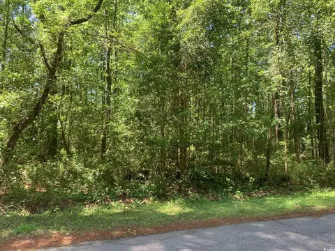 lot8 S Morgan Ave, Andrews, SC 29510