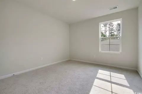 151 Waterloo Sunset Dr, Longs, SC 29568 photo 4
