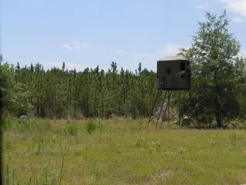 1940 Barts Rd, Loris, SC 29569 photo 4