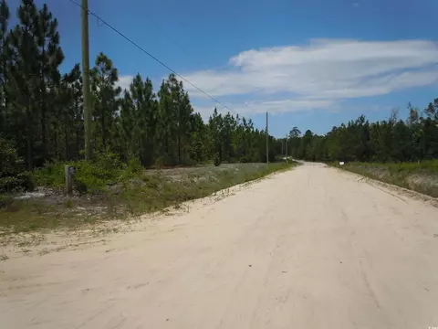 1940 Barts Rd, Loris, SC 29569 photo 13