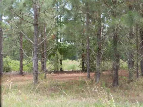 1940 Barts Rd, Loris, SC 29569 photo 5