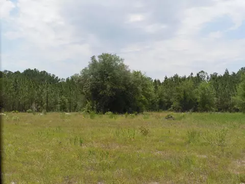 1940 Barts Rd, Loris, SC 29569 photo 10