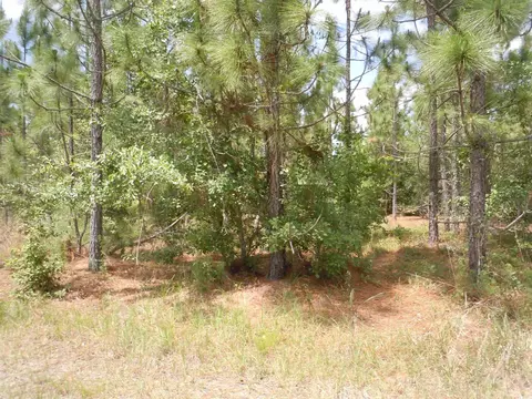 1940 Barts Rd, Loris, SC 29569 photo 9