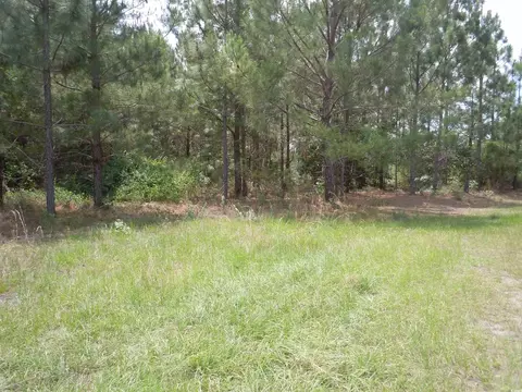 1940 Barts Rd, Loris, SC 29569 photo 6