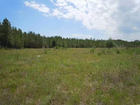 1940 Barts Rd, Loris, SC 29569 photo 11