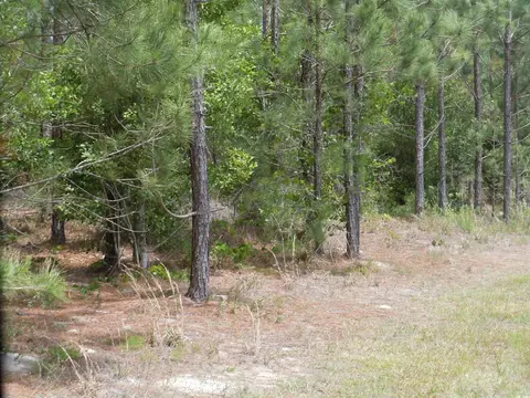 1940 Barts Rd, Loris, SC 29569 photo 12