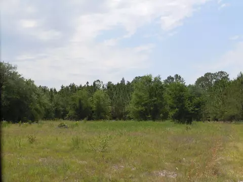 1940 Barts Rd, Loris, SC 29569