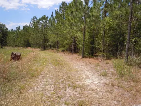 1940 Barts Rd, Loris, SC 29569 photo 3