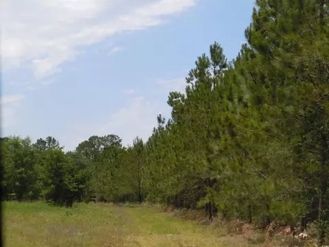 1940 Barts Rd, Loris, SC 29569 photo 7