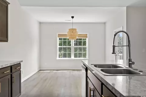 Other - 417 Grain Field Dr, Georgetown, SC 29440 photo 1 of 8