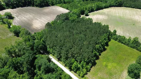 tbd Sparrow Ln, Loris, SC 29569 photo 5