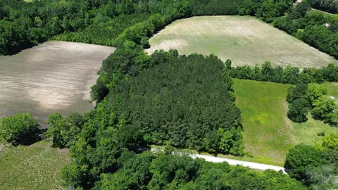tbd Sparrow Ln, Loris, SC 29569 photo 3