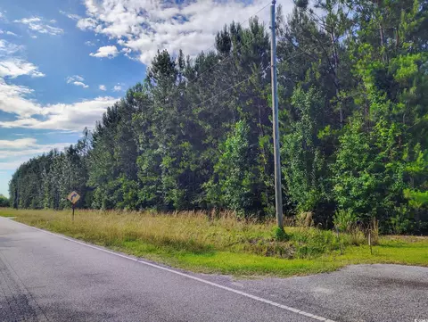 tbd Boggy Branch Rd, Nichols, SC 29581