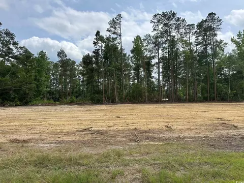 tbd 2 Saint John Rd, Galivants Ferry, SC 29544