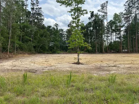 tbd 1 Saint John Rd, Galivants Ferry, SC 29544