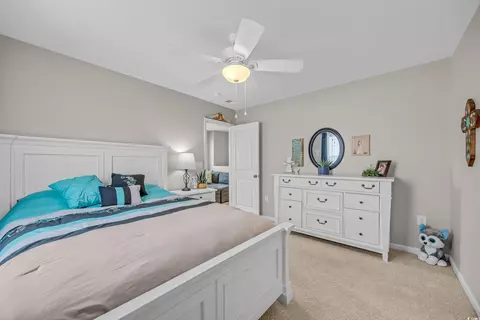 Bedroom - 933 Wild Leaf Loop, Conway, SC 29526 photo 6 of 6
