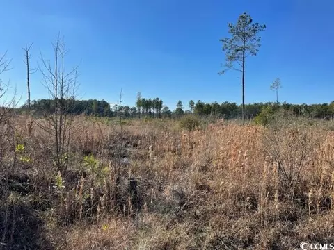 1279 Cheyenne Rd, Conway, SC 29526 photo 3