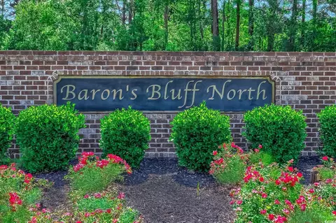617 Chiswick Dr, Conway, SC 29526 photo 2