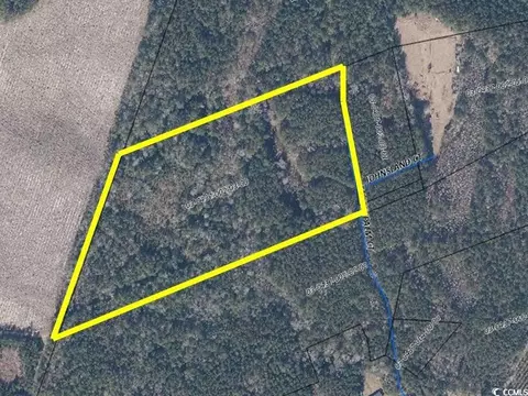 tbd Thatchpalm Ct, Georgetown, SC 29440