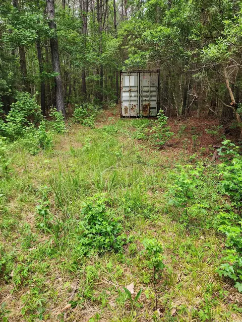 tbd Thatchpalm Ct, Georgetown, SC 29440 photo 3