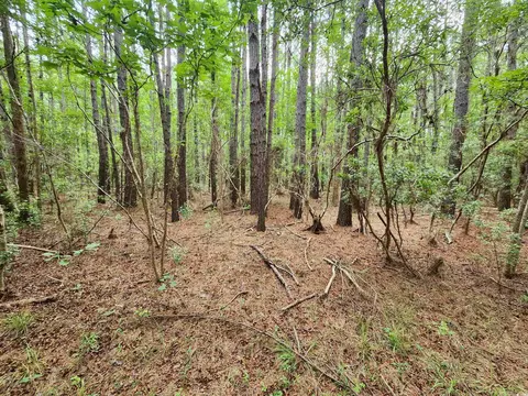 tbd Thatchpalm Ct, Georgetown, SC 29440 photo 5