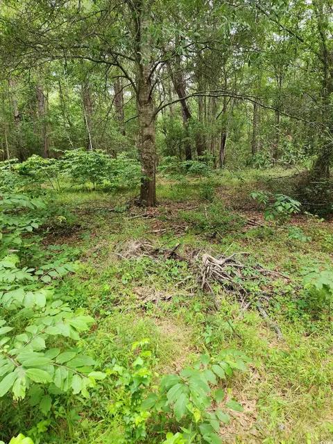 tbd Thatchpalm Ct, Georgetown, SC 29440 photo 4