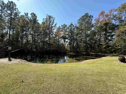 5 47acres-tbd High Hill Rd, Scranton, SC 29591 photo 20
