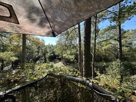 5 47acres-tbd High Hill Rd, Scranton, SC 29591 photo 10