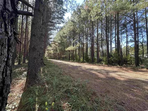 5 47acres-tbd High Hill Rd, Scranton, SC 29591 photo 25