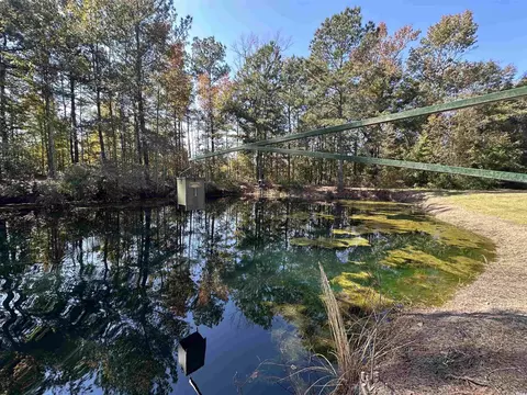 5 47acres-tbd High Hill Rd, Scranton, SC 29591 photo 16