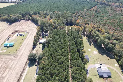 5 47acres-tbd High Hill Rd, Scranton, SC 29591 photo 8