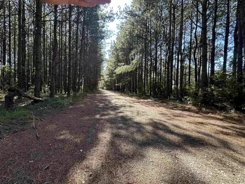 5 47acres-tbd High Hill Rd, Scranton, SC 29591 photo 24