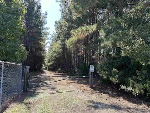 5 47acres-tbd High Hill Rd, Scranton, SC 29591 photo 27