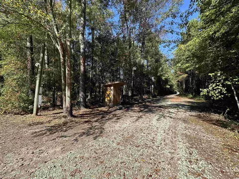 5 47acres-tbd High Hill Rd, Scranton, SC 29591 photo 22